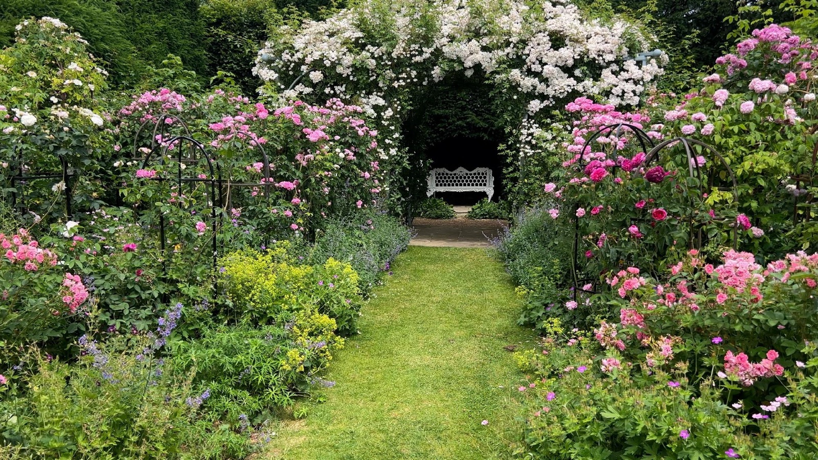 Rose garden image for the available sellers page