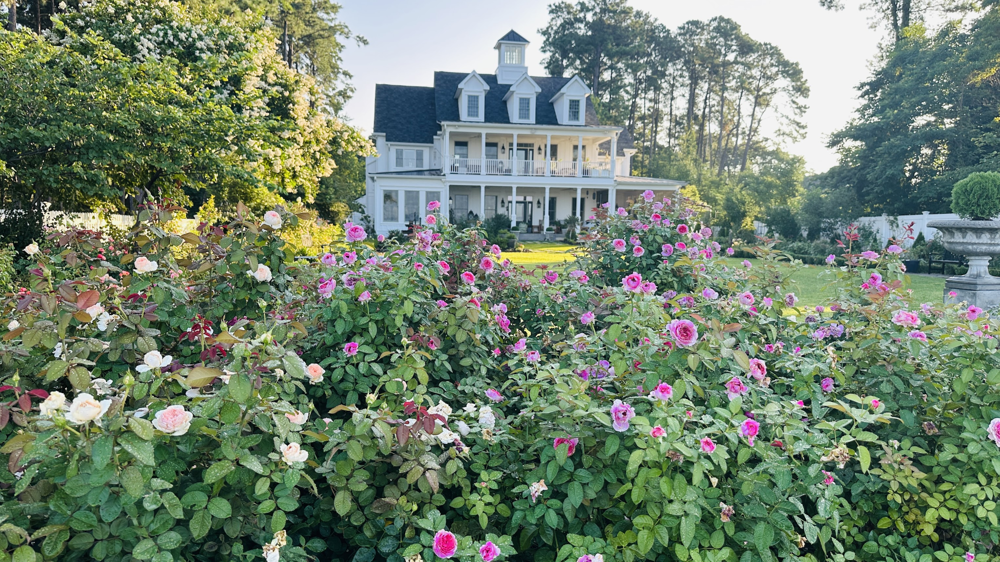 Rose garden path and house used for the maintenance guidance page