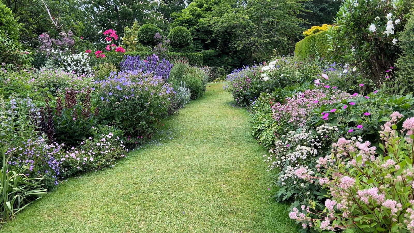 Rose bloom detail for the resources page