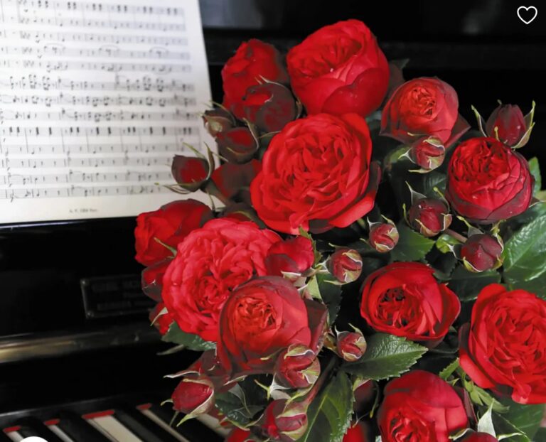 Piano®