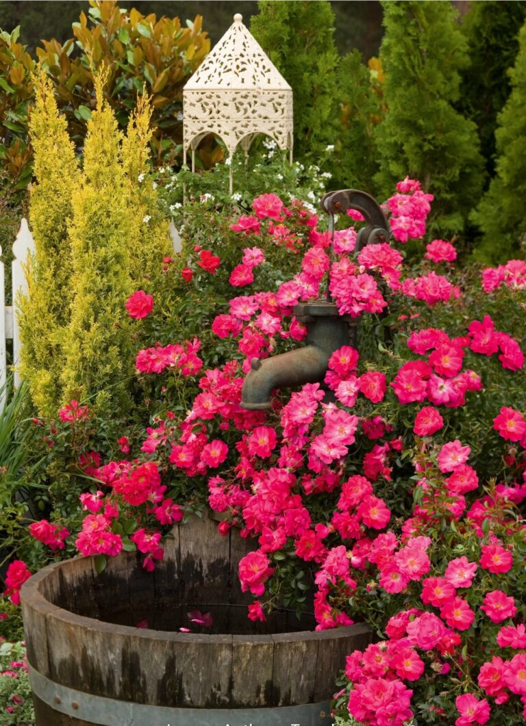 Flower Carpet® Pink Supreme 