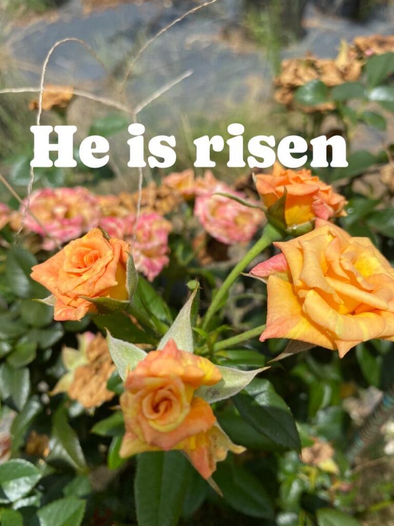 He Is Risen