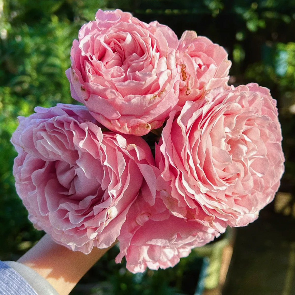 All 4 Bouquet