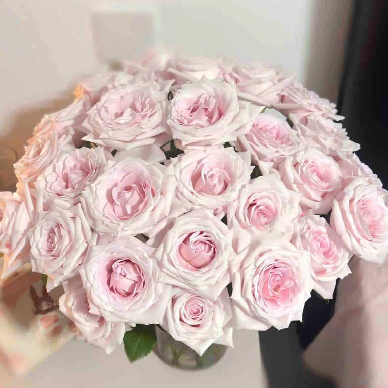 Dainty Parfum