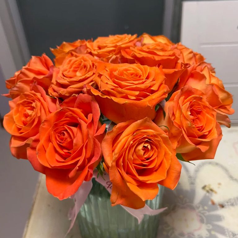 King’s Day