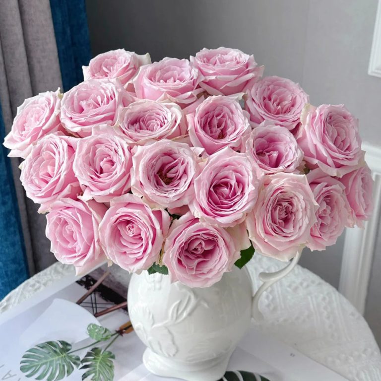 Pink Avalanche