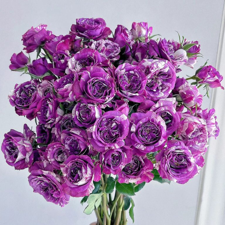 Scented Jewel