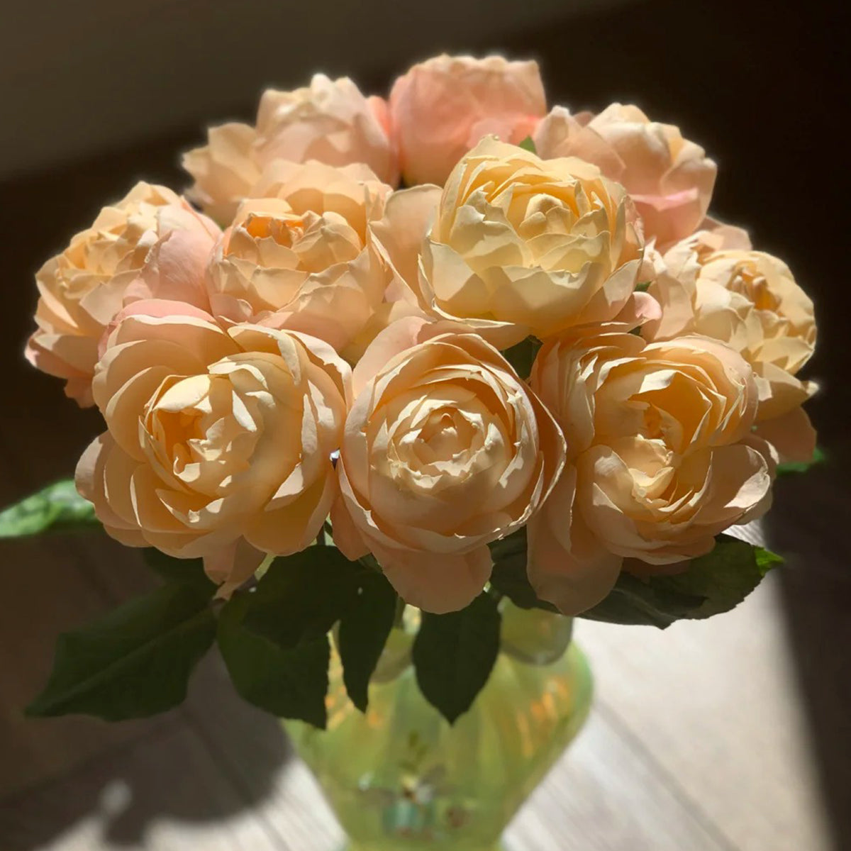 Apricot Foundation