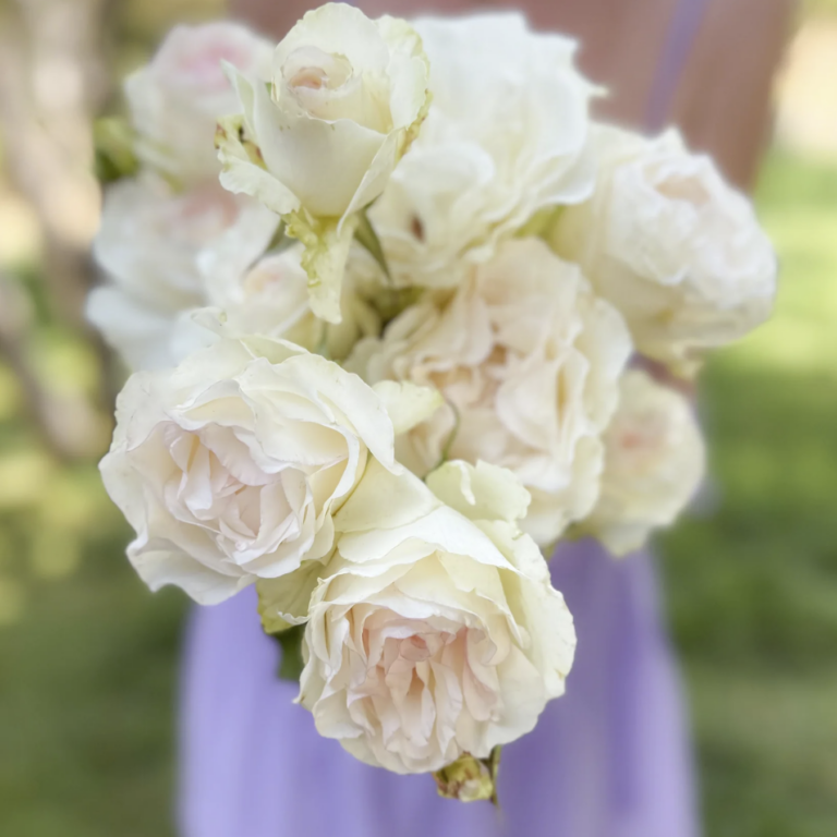 Shirley’s Bouquet